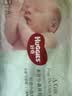 好奇（Huggies）小森林纸尿裤NB4片(5kg以下)【试用】 实拍图
