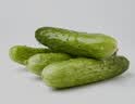 【水果菜】东北旱黄瓜约550g 实拍图