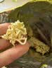 华丰三鲜伊面方便面混合口味整箱86g*24袋速食干吃泡面怀旧食品开学季 实拍图
