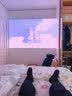 极米（XGIMI）Z9X 4K 旗舰版 焕新升级1650CVIA 4K光学变焦三色激光哈曼卡顿家用智能投影仪 国家补贴 实拍图