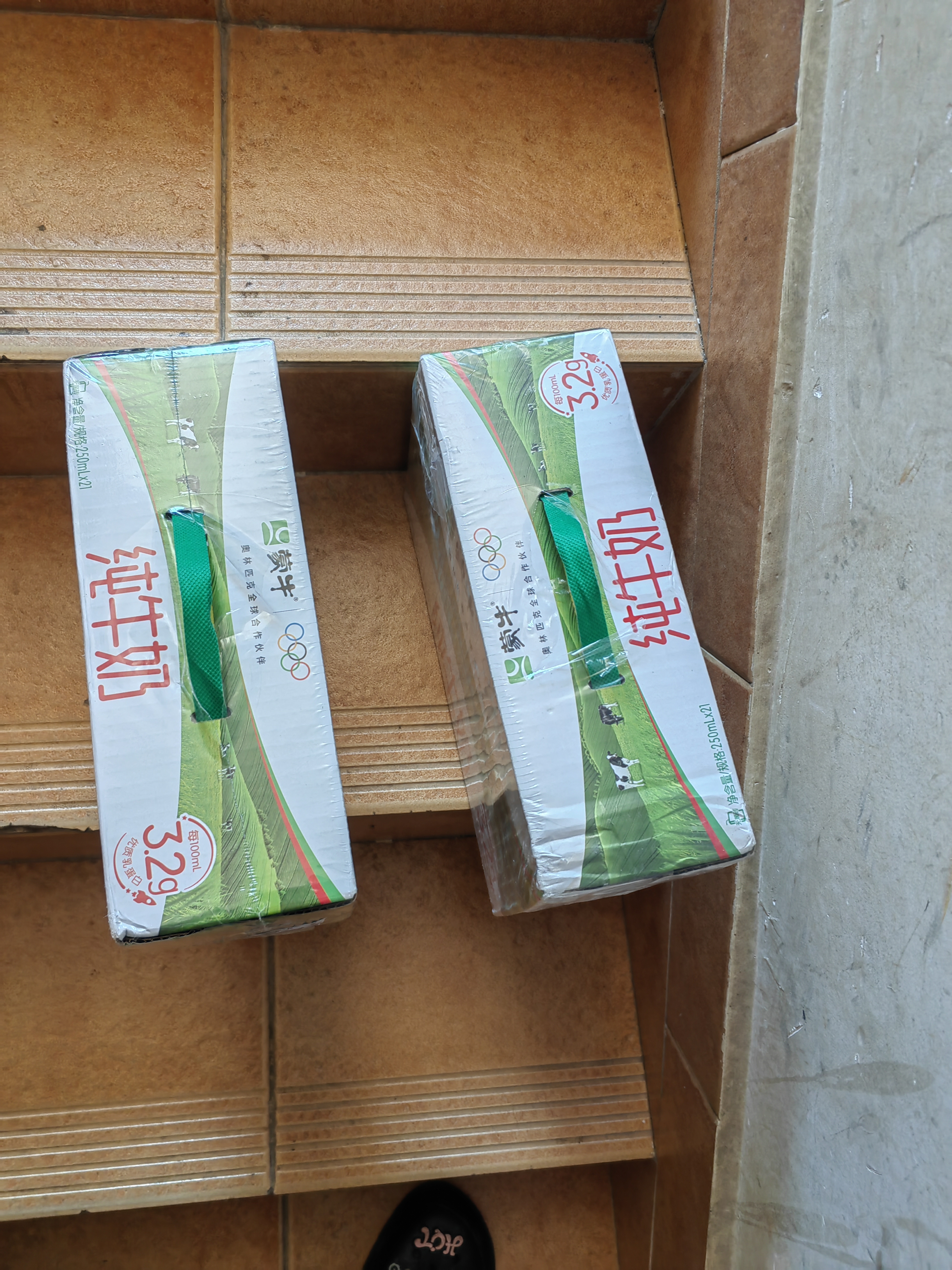 蒙牛【新鲜日期】全脂纯牛奶250ml*21盒 3.2g蛋白 送礼优先 实拍图