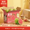 京鲜生 红心珍珠芭乐/番石榴 净重3斤 单果150g+ 生鲜水果礼盒 实拍图