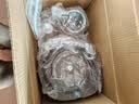 小熊（Bear）家庭用绞肉机 绞馅机 料理机 搅拌机 和面机 多功能绞肉机和面机一体机 2026新款家用QSJ-W05G3 实拍图