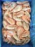 美加佳头籽熟冻北极甜虾净重3斤 90/120规格 头籽率50% 火锅聚餐 实拍图