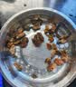 金唐蚝干大号200g 牡蛎干生蚝干煲汤煮粥材料 海产干货中秋食材 实拍图