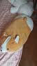名创优品（MINISO）小猪B-BO玩偶抱枕娃娃公仔抱睡生日礼物女学生午睡枕趴趴bobo猪 实拍图