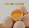 大码鲜鸡蛋1.8kg 实拍图