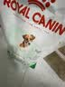 皇家狗粮 成犬狗粮 犬粮 宠物小型犬 PR27 全价犬粮≥10月2KG 实拍图