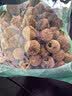 方家铺子桂味荔枝干500g肉厚核小甘甜软糯干货特产小核率级90% 实拍图