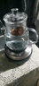 禾艾苏（heisou） 高硼硅耐热玻璃茶壶功夫茶具智能恒温热水壶煮茶炉家用泡茶器 圆肚蒸茶壶700ml+电热炉 实拍图