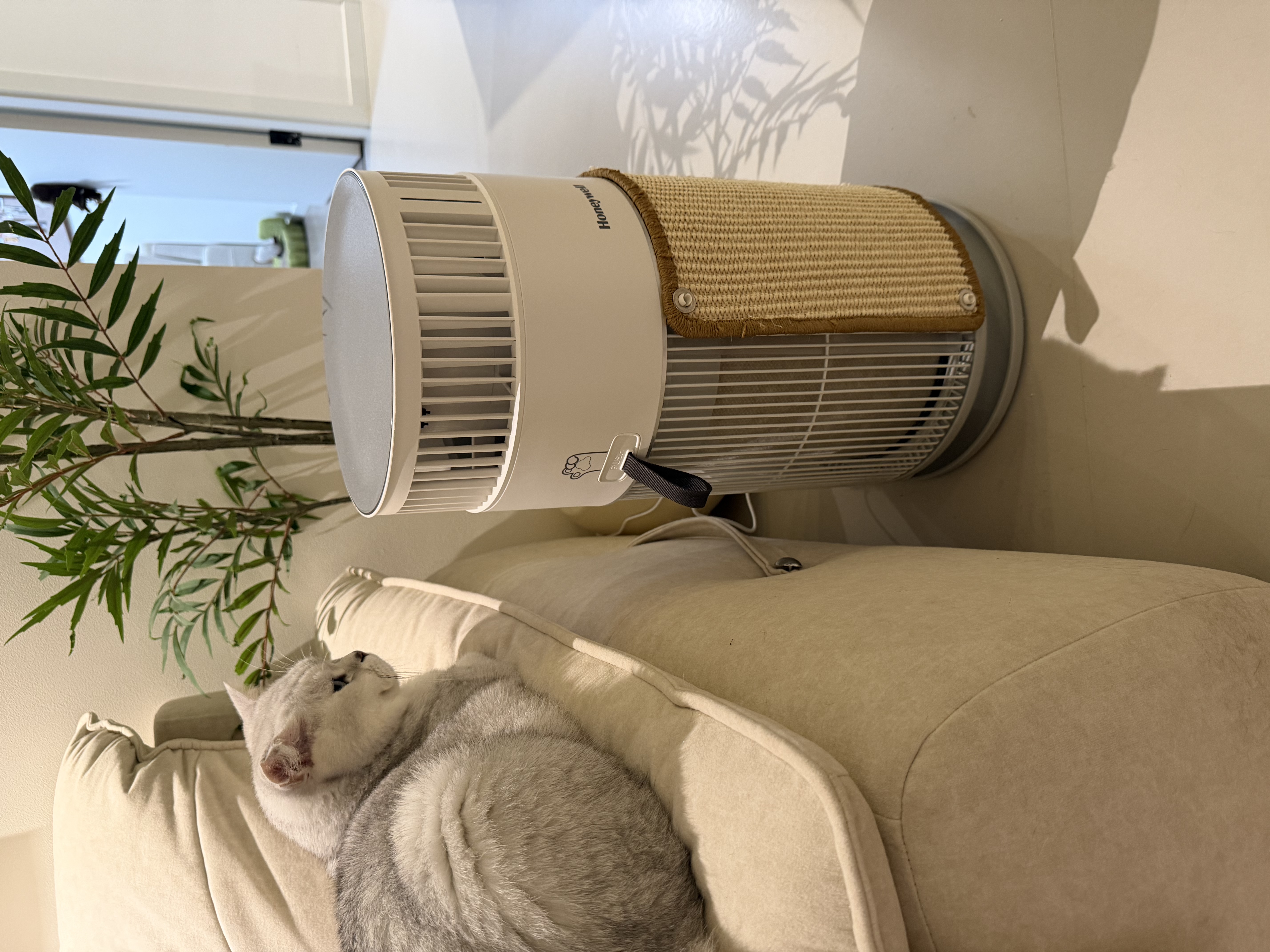 霍尼韦尔（Honeywell）宠物空气净化器吸猫毛除过敏源猫猫搭子 猫毛净化器杀菌消毒除异味KJ360F-C22W 实拍图