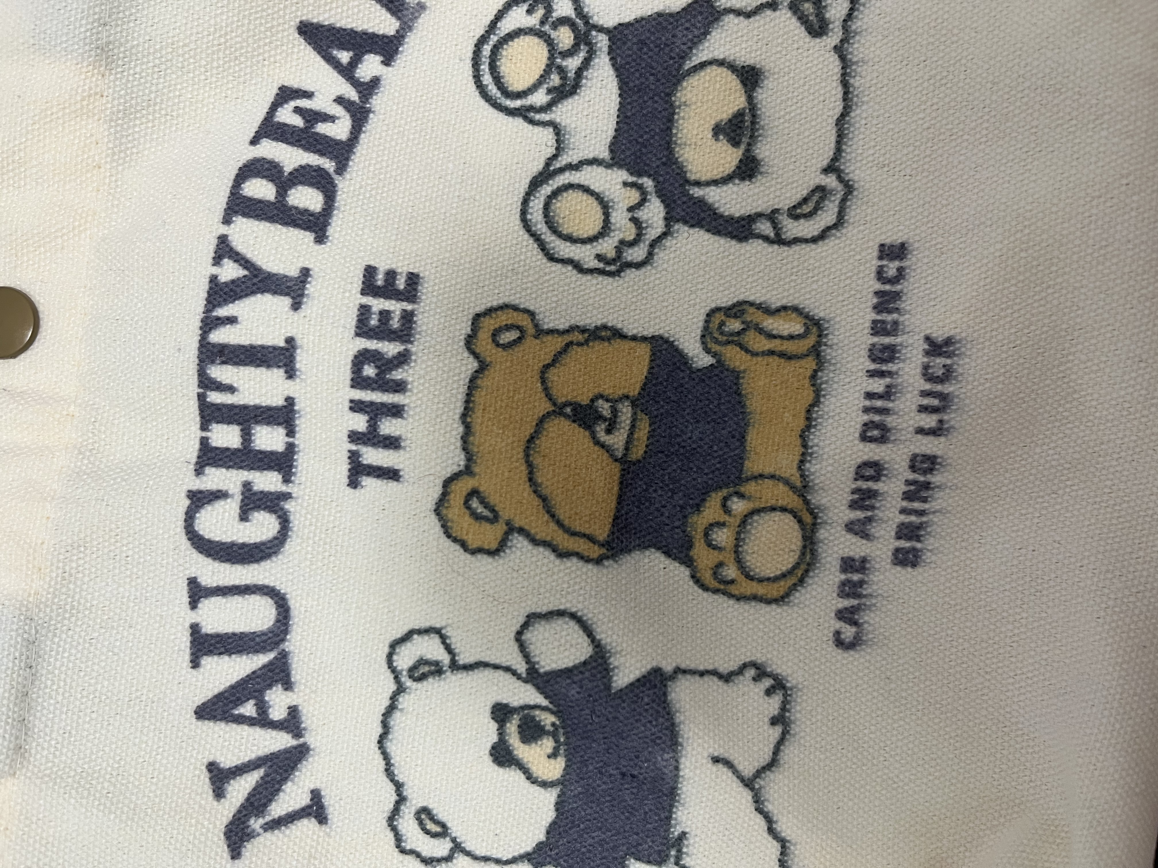 心动购物季学生可爱凯缇画包帆布包学生绘画出行可爱草莓小熊超萌凯缇猫便携小包收纳方便手提 三只小熊帆布包加厚 实拍图