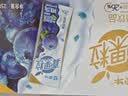 蒙牛真果粒蓝莓味牛奶饮品250g*12盒 新老包装 送礼礼盒 实拍图