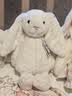 Jellycat害羞乳白色邦尼兔动物毛绒玩偶安抚玩偶娃娃送礼生日新婚礼物 害羞乳白色邦尼兔 Medium 实拍图