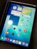 Apple/苹果 iPad 11英寸 A16芯片2025年款 平板电脑 (128GB WLAN版学习办公娱乐)粉色 实拍图