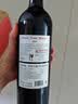 CANIS FAMILIARIS布多格原瓶进口红酒 西拉干红葡萄酒 750ml 单瓶装 实拍图