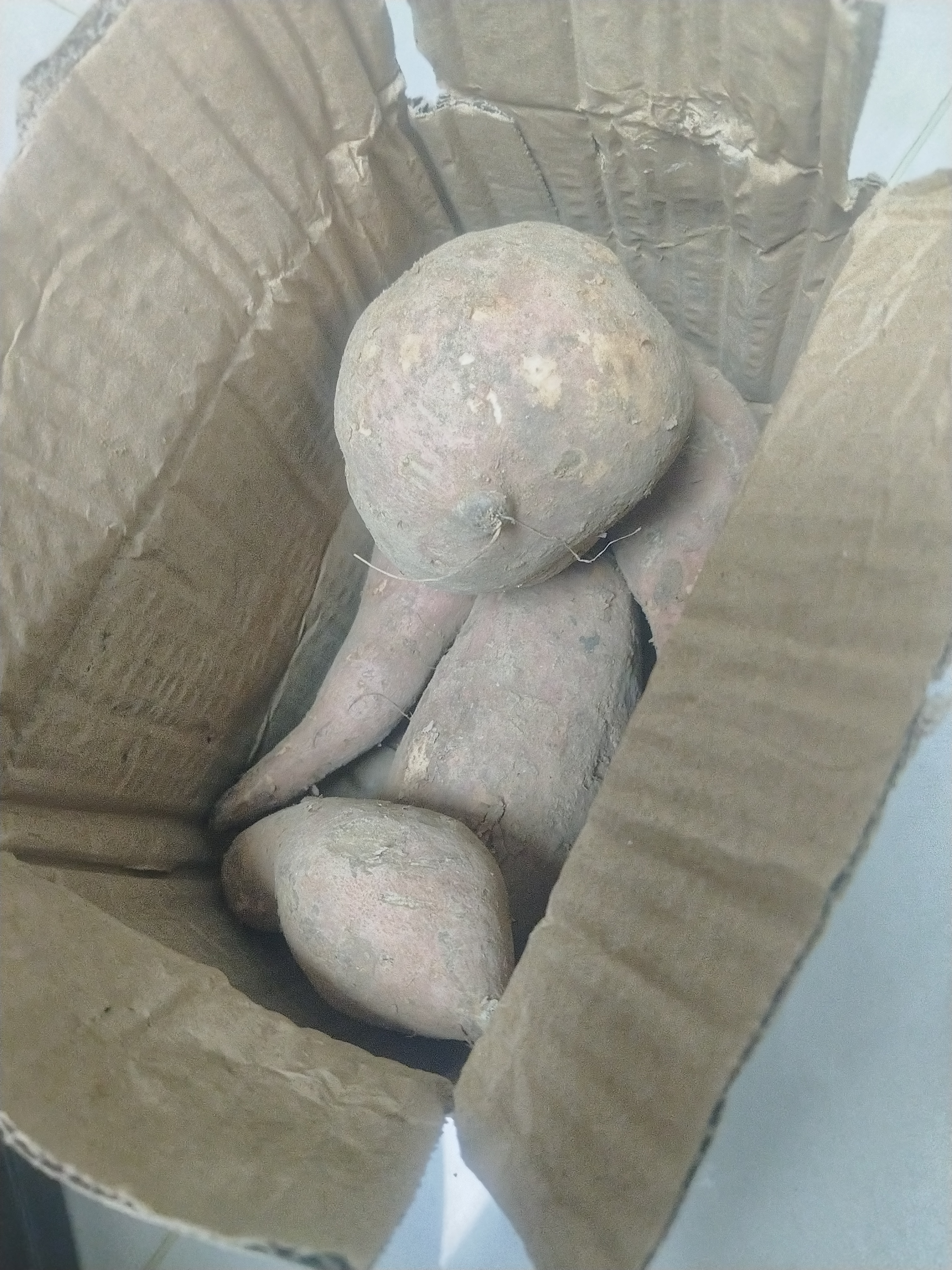 现挖沙地蜜薯红薯新鲜农家糖心番薯烤地瓜软糯批发黄心包邮 沙地蜜薯2斤装中小果 含箱 实拍图