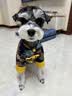 汪爸爸鲜肉全价犬粮泰迪柯基幼犬成犬冻干清火通用狗粮 鸭肉梨犬粮2kg 实拍图