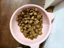 皇家猫粮 英短成猫粮 BS34 通用粮 12月以上 2KG 实拍图