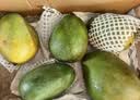 京鲜生 攀枝花【即食大果】凯特芒果 净重10斤 单果700g 5-7颗 生鲜礼盒 实拍图
