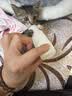 萌宠之星猫高蛋白羊奶粉0乳糖羊奶粉300g幼猫奶粉新生猫羊奶粉宠物羊奶粉 实拍图