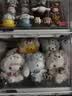 名创优品（MINISO）三丽鸥梦幻独角兽搪胶毛绒盲盒玩具摆件周边手办生日礼物女 单盒 实拍图
