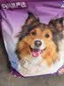 网易严选犬粮全价三拼狗粮 美毛低敏鱼肉鱼油配方 长毛犬小型中大型犬10kg 实拍图