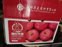 京鲜生 烟台红富士苹果 净重10斤 单果220g以上  生鲜礼盒 实拍图