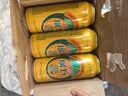 广氏菠萝啤果味饮料500ml*12听大罐果啤整箱装汽水中秋送礼 实拍图