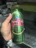 青岛啤酒（TsingTao）经典（1903）550ml*15+精酿白啤500ml*3组合装共18罐 实拍图