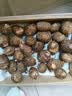 京鲜生&家美舒达山东牛奶小芋头毛芋头5斤大果50g以上净果无泥沙 出口级 实拍图