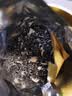 春上早茉莉花茶  2026新茶特级飘雪浓香型茉莉毛尖四川花茶叶散罐装125g 实拍图