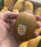 佳沛（zespri）新西兰金奇异果12粒特大果124-146g猕猴桃水果礼盒 实拍图