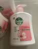 滴露（Dettol）洗手液抑菌消毒滋润500g+500g 补充装 儿童家庭护手替换装 实拍图