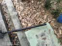 神火（SupFire）BG06多功能户外工兵铲藏獒铲子铁锹锰钢兵工铲折叠野外用品 实拍图