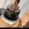 小熊（Bear）电陶炉迷你煮茶炉 白茶红茶普洱养生茶炉小型家用多功能不挑锅轻音烹煮围炉煮茶 J13Z5 实拍图