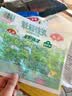 安井龙虾味球 240g/包  锁鲜装火锅麻辣烫方便菜 鱼糜含量≥45% 实拍图