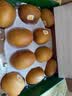 佳沛（zespri）新西兰金奇异果10粒巨大果146-175g猕猴桃水果礼盒 实拍图