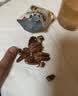 老街口减糖版碧根果仁400g奶香酥脆无壳长寿果每日坚果炒货干果孕妇零食 实拍图