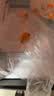 绿养道现货【顺丰快递】云南蒙自枇杷果2斤净重 单果20g+ 新鲜水果 实拍图