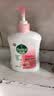 滴露（Dettol）洗手液抑菌消毒滋润500g+500g 补充装 儿童家庭护手替换装 实拍图