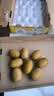 佳沛（zespri）新西兰金奇异果22粒巨大原箱146-175g猕猴桃水果礼盒 实拍图