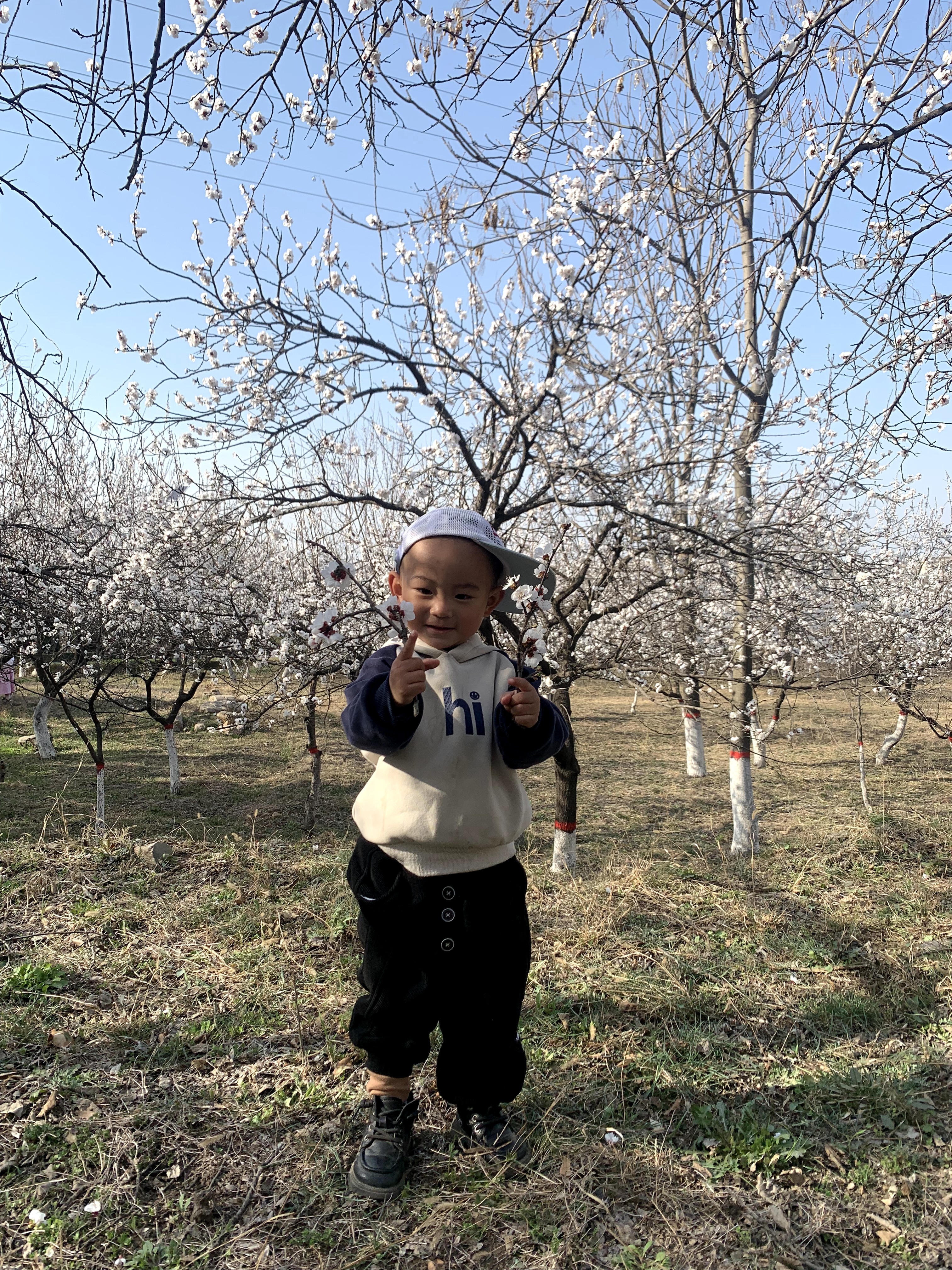 怡辉（YIHUI）坐便座椅坐便器老年人孕妇移动马桶大便蹲便家用结实便携式坐便凳 实拍图