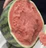 【冰镇】美都无籽麒麟西瓜1粒 约4.5kg 实拍图