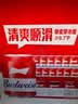 百威mini红罐淡色拉格255ml*12罐整箱装京东自营 实拍图