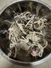 【活蟹】阳澄佳缘大闸蟹 现货鲜活大螃蟹公母蟹 海鲜水产生鲜礼盒 公4.0-4.3两母3.0-3.3两5对10只 实拍图