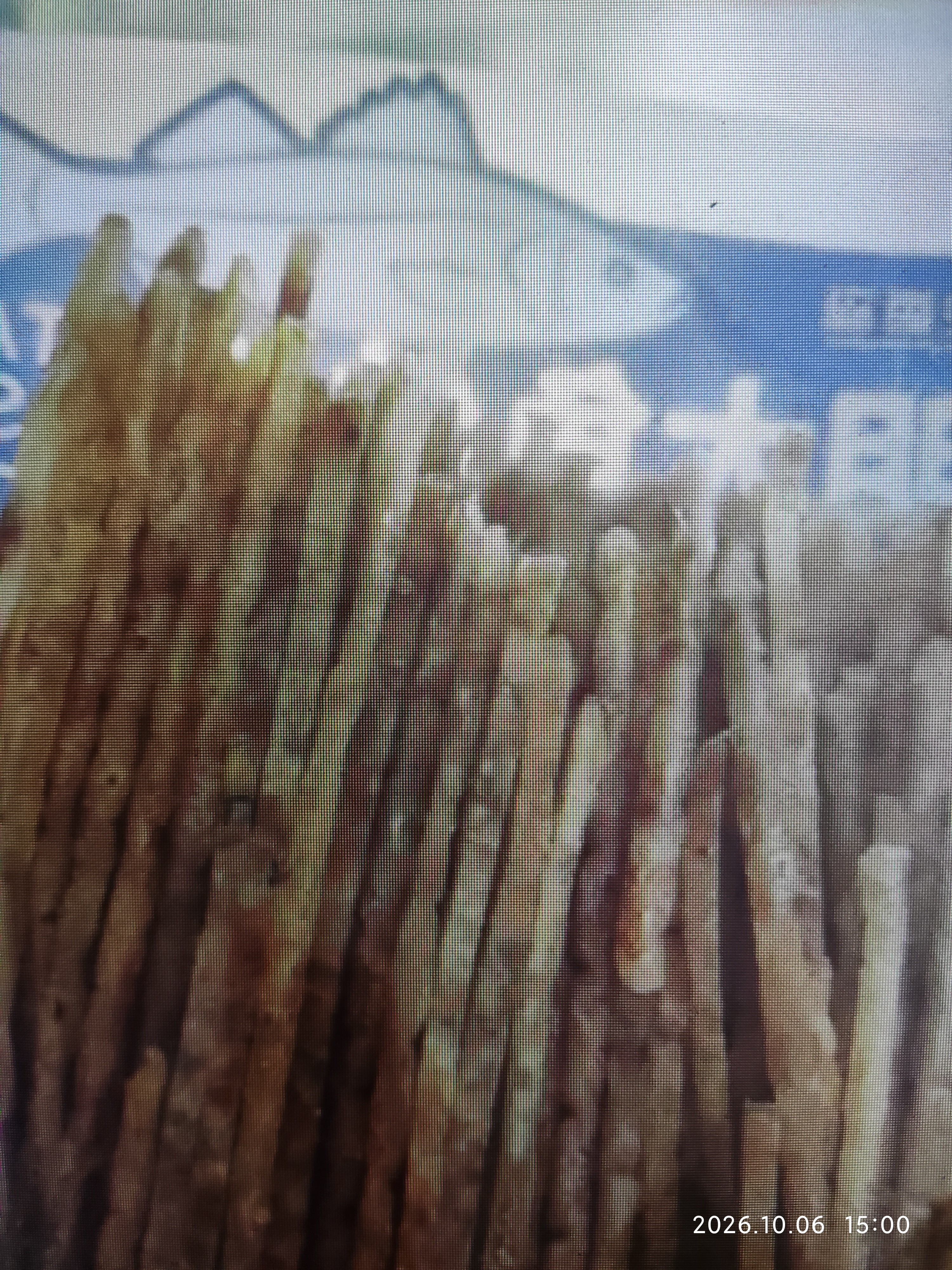 农香森 明太鱼丝250g特色海味开袋即食小吃手撕明太鳕鱼丝解馋休闲零食 实拍图