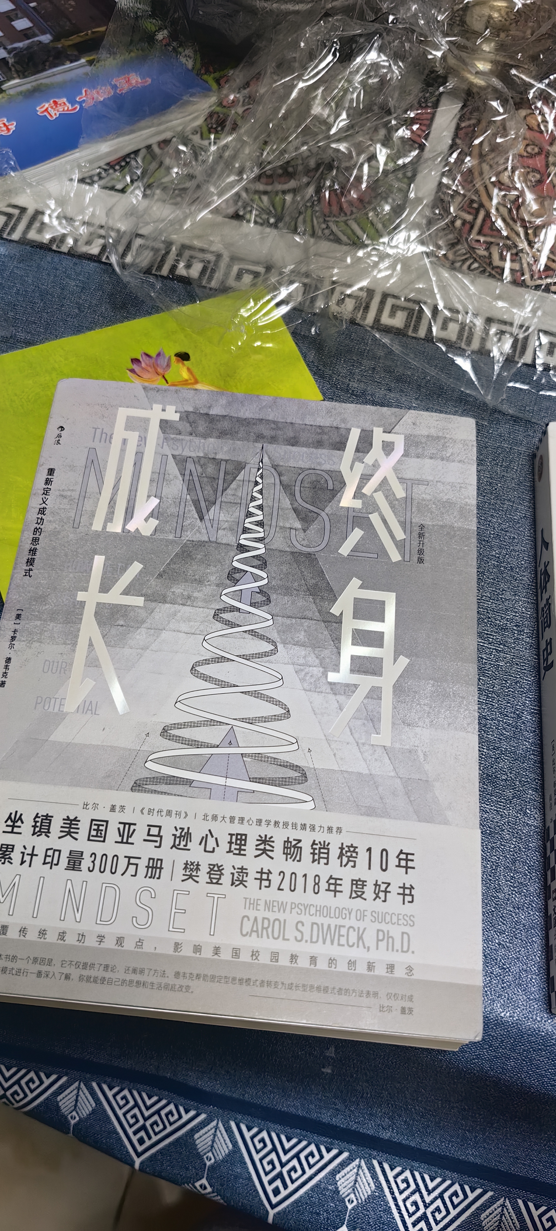 终身成长：重新定义成功的思维模式 颠覆传统成功学观点 好的思维方式比道理更重要 成长型思维教育创新 实拍图