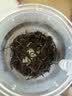 金灶（KAMJOVE）玻璃茶壶飘逸杯过滤茶水壶茶具 大容量茶水分离杯泡茶器泡茶壶 实拍图