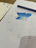 辉柏嘉（Faber-castell）【学生文具】彩铅60色水溶性彩铅60孔笔帘画笔套装彩色铅笔绘画工具儿童礼物升级款美术写生画画笔 实拍图